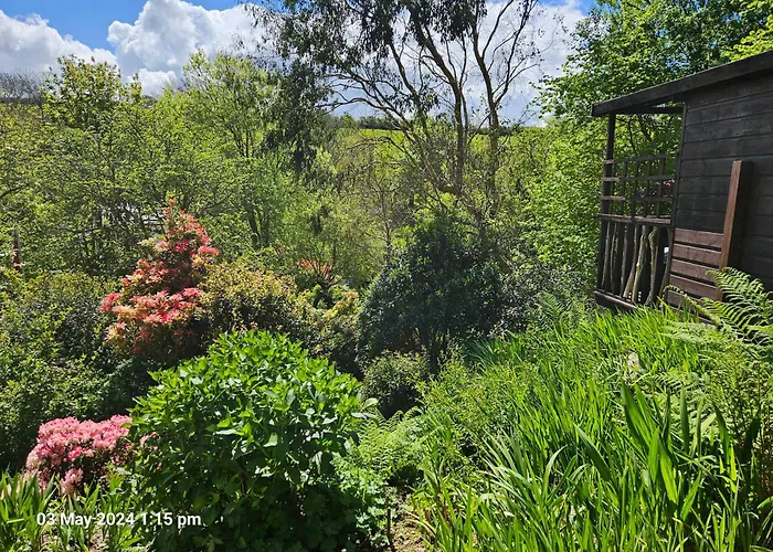 Treetops Lodge, Private Parking & Garden