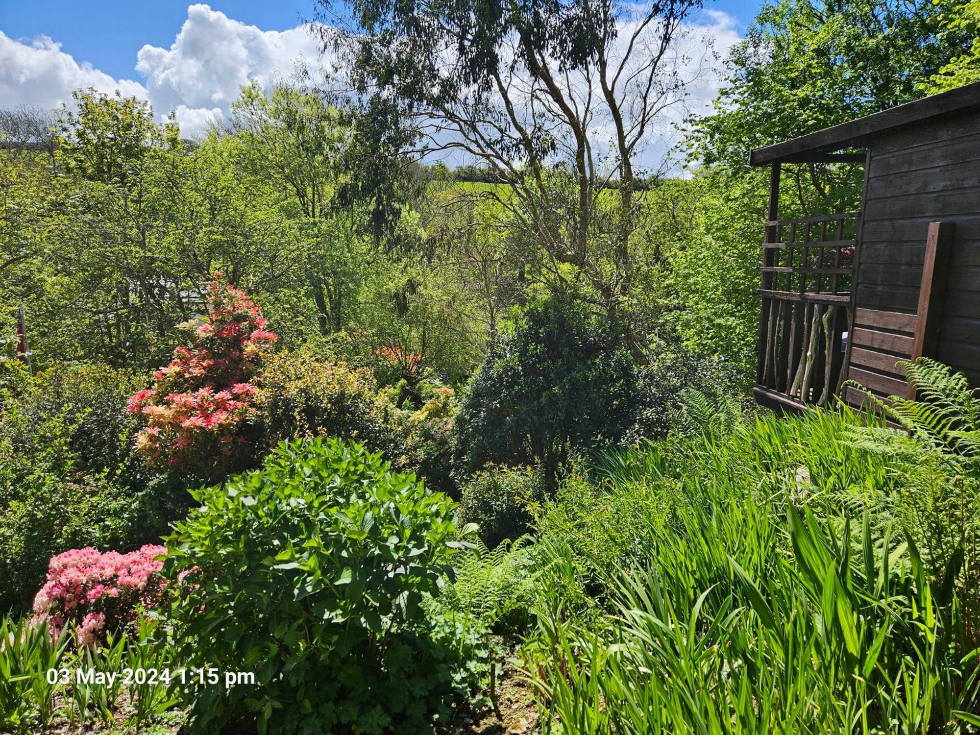 Hébergement de vacances Treetops Lodge, Private Parking & Garden
