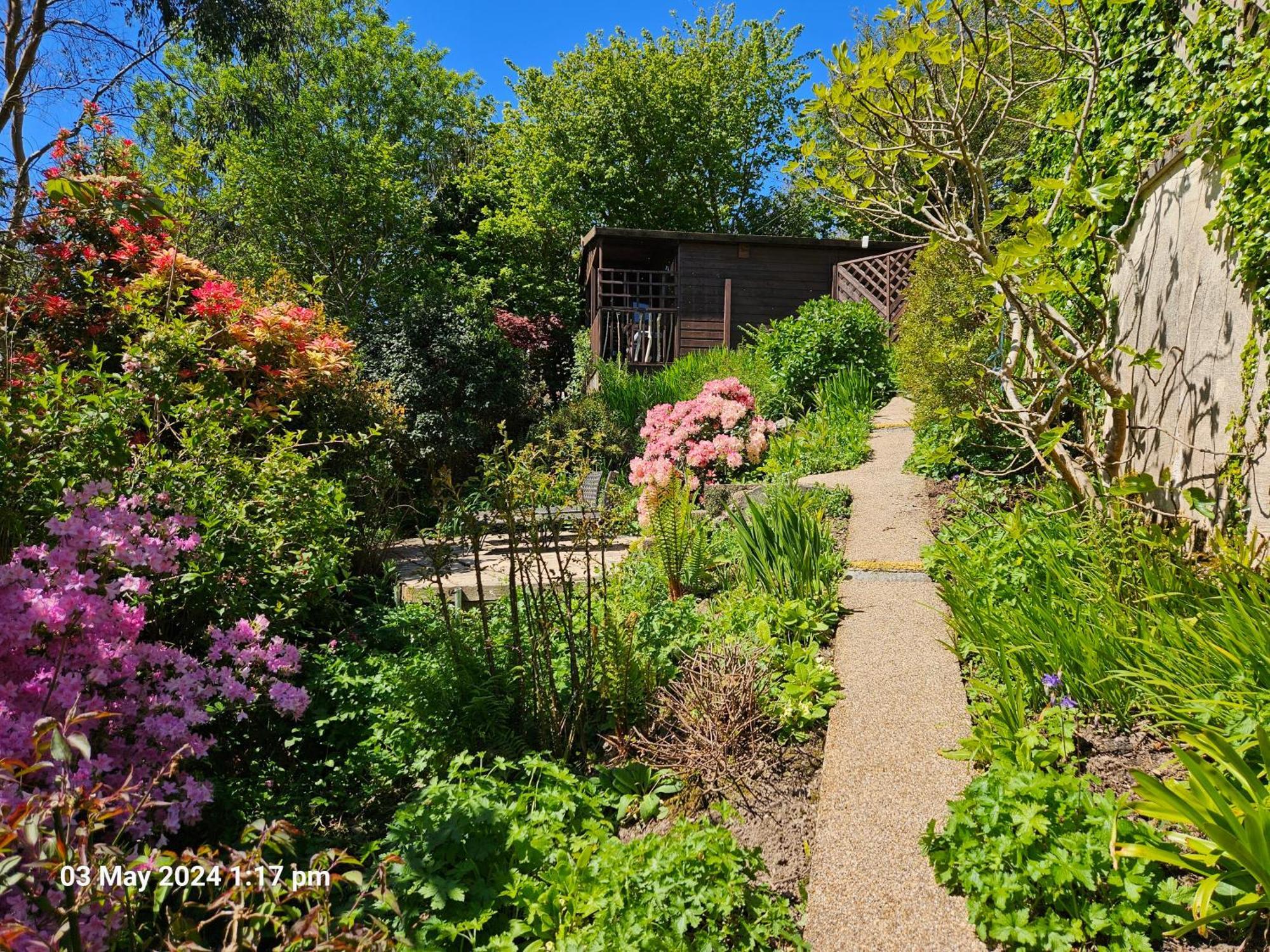 Treetops Lodge, Private Parking & Garden Hébergement de vacances *