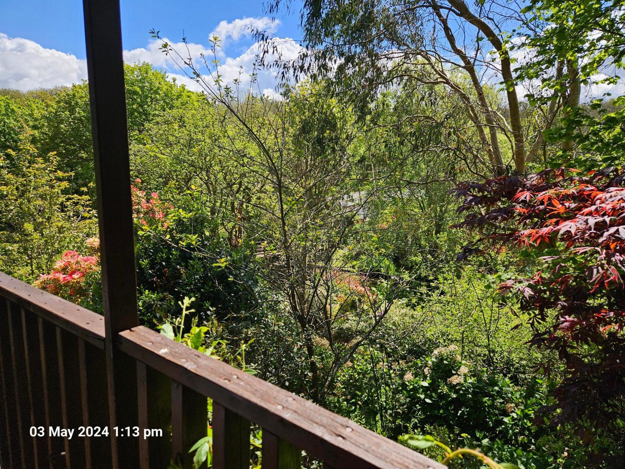 Treetops Lodge, Private Parking & Garden Hébergement de vacances Truro